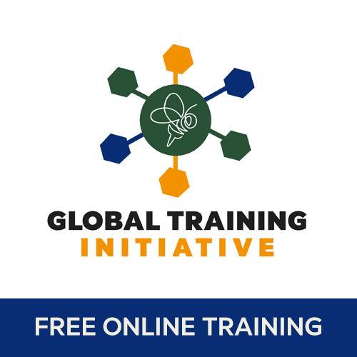 FREE Online Training Sessions for Therapists & Teachers